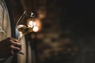 Déguster un grand vin de Bordeaux